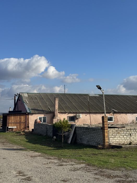 Оренда ферма/комерційна нерухомість/овоческлад/теплиці