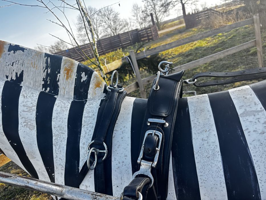 Aktualne! Bryczka dla kucy malych koni