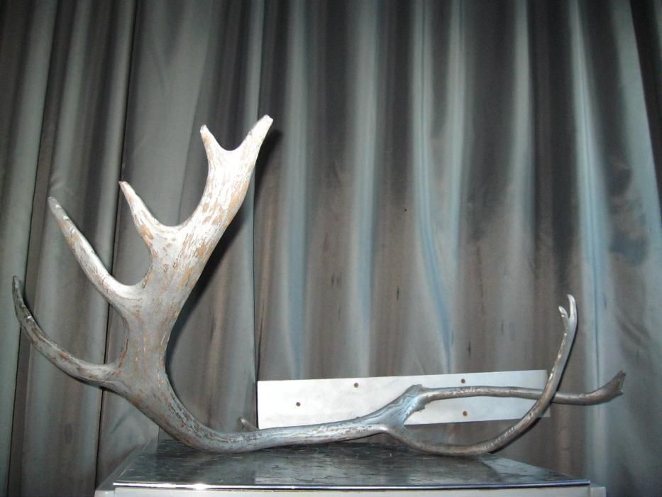 Олений рог дизайнерская обработка рога оленьи декор арт-объект