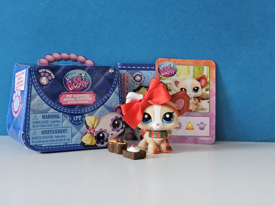 Chihuahua z dodatkami,  karta