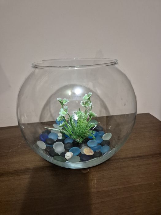 Акваріум, скляна ваза