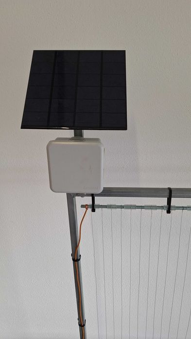 Harpa metálica mata vespas velutina para apiário