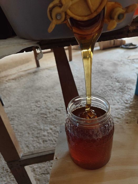 25 kg Mel caseiro 2024