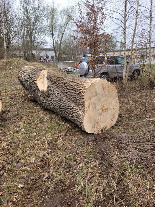 WIĄZ KŁODA monolit na blaty