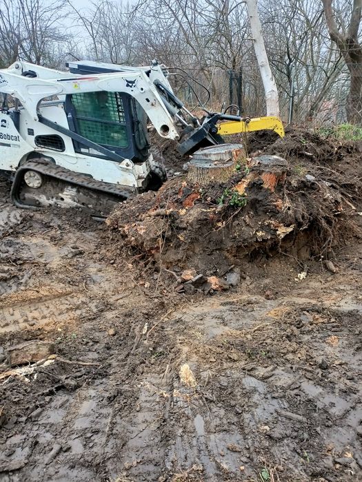 usługi ogrodnicze prace ziemne wycinka niwelacje