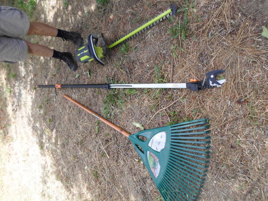 Jardinagem, podas e limpeza de terrenos