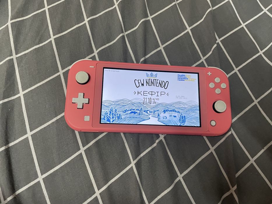 Nintendo switch lite