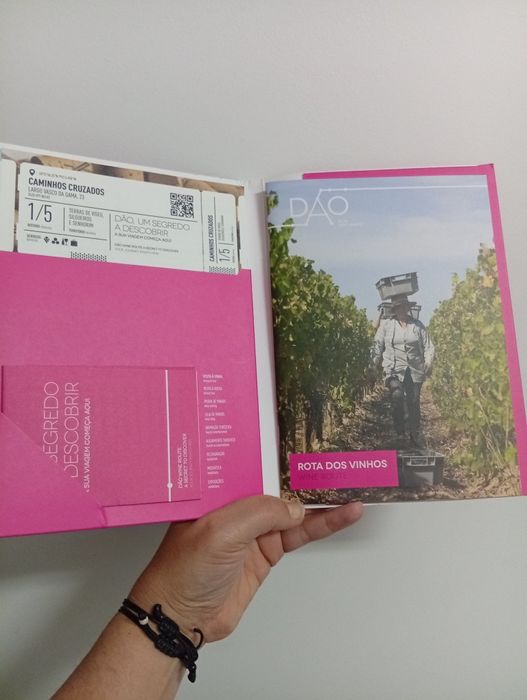 Roteiro dos vinhos do Dão