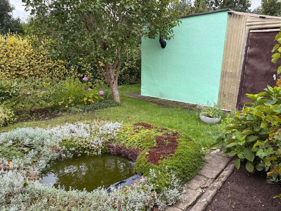 Działka ROD ASTER – 550 m², murowany domek, prąd, woda - Widok 4