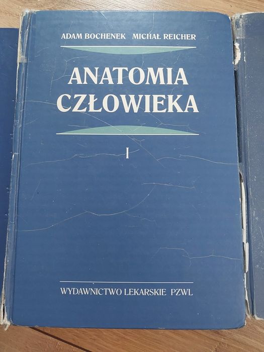 Anatomia Bochenka III tomy.