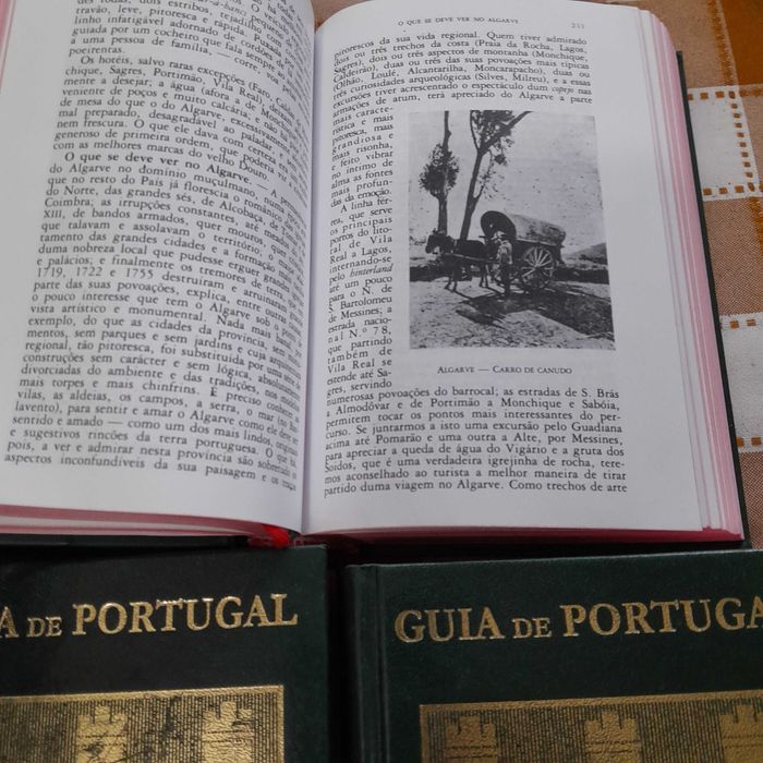 Guia de Portugal - Entre Douro e Minho