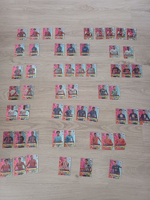 Zestaw. Album +  karty panini