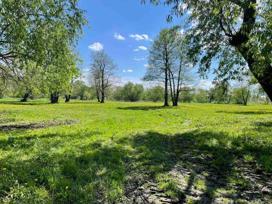 Продається затишний сімейний будинок