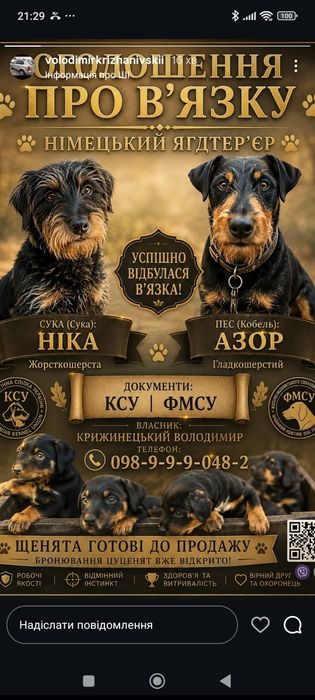 Собаченята Ягдтер'єра