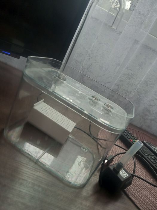 Поїлка для кота, собачки