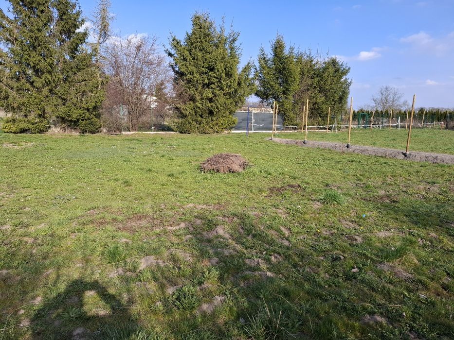 Sprzedam ogródek działkowy