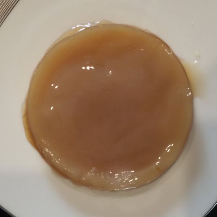 Kombucha (cultura)