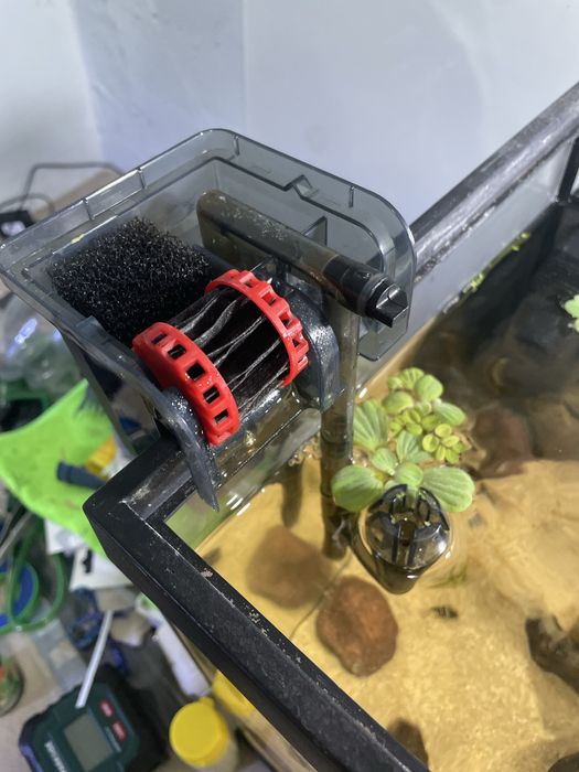 Aquário 67 litros c/betta plakat koi e filtro