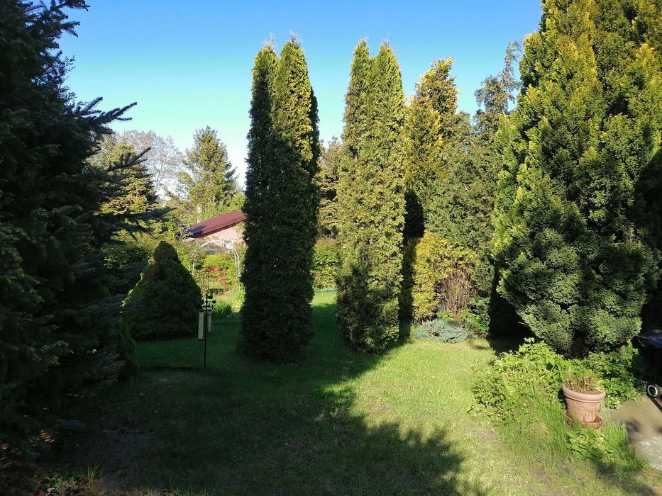 Domek letniskowy Władysławowo