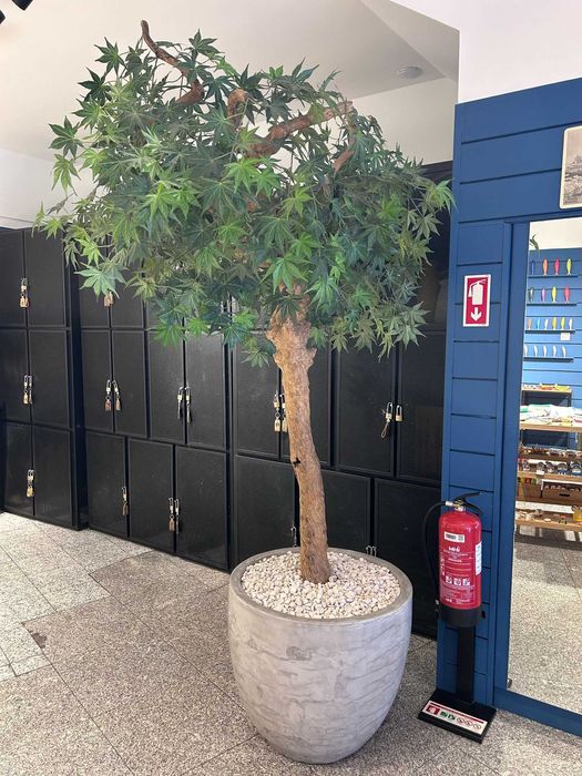 Arvore artificial Acer de qualidade