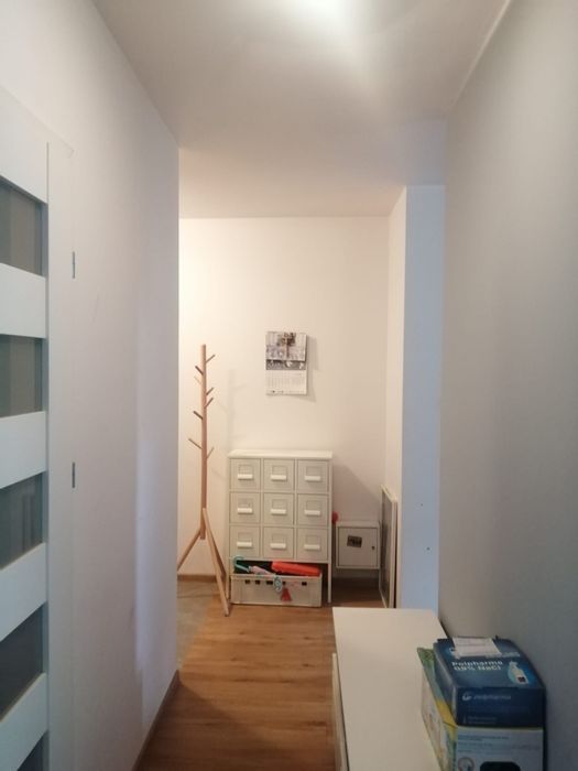 Mieszkanie na wynajem - 50 m² na Marcelińskiej - Widok 3