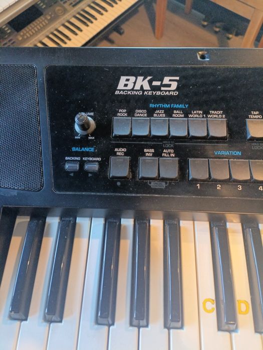 Roland BK -5 plus case