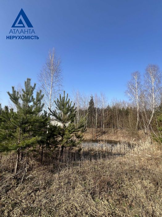 Пропонуємо до продажу 2 суміжні земельні ділянки  в селі Озерце.