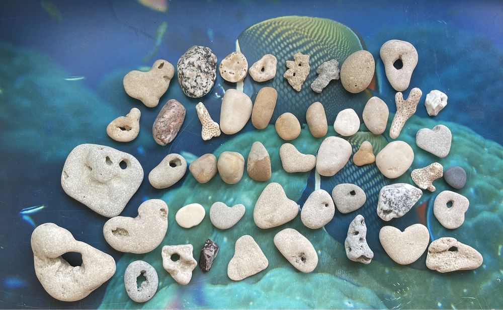 Морские камни в коллекцию