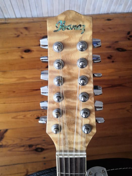 Ibanez ew20 12 strunowa