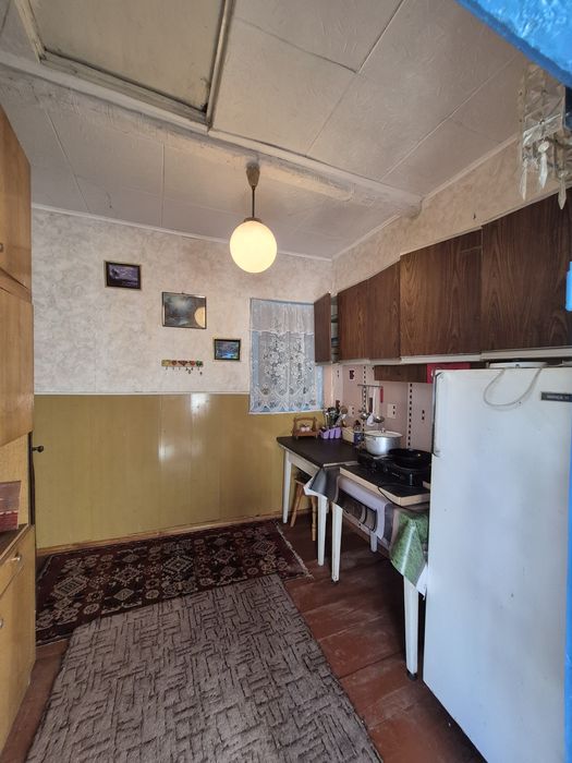 Великий будинок на березі Десни