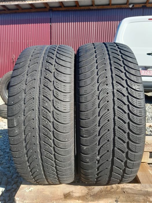 Шини Sava 205/55 R16,зима,2шт,2020 (095)