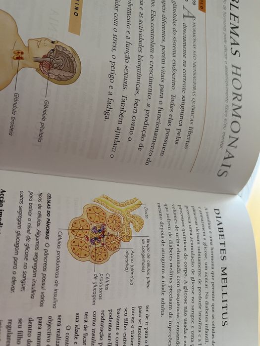 Saúde do Bebé e da Criança