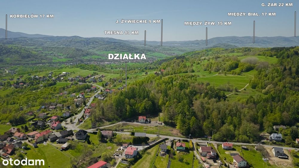 Zdjęcie 7