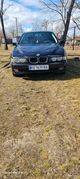 Продам бмв (красуня)