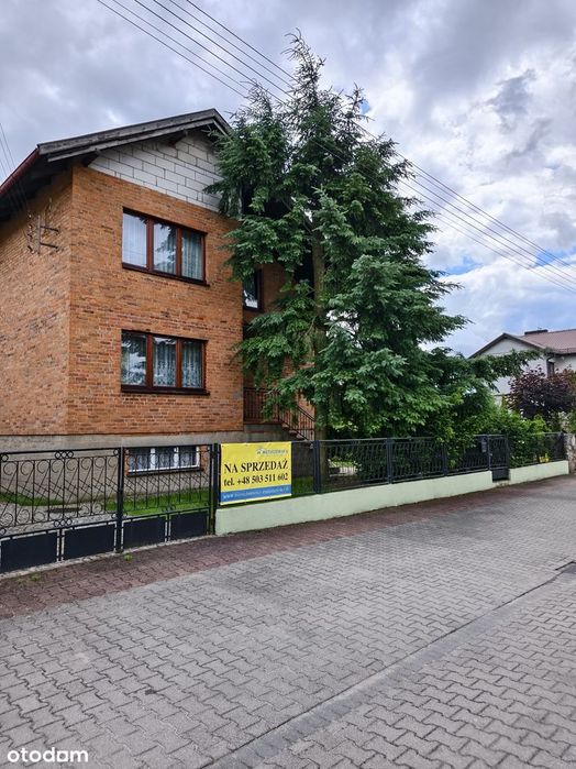 Zdjęcie 8