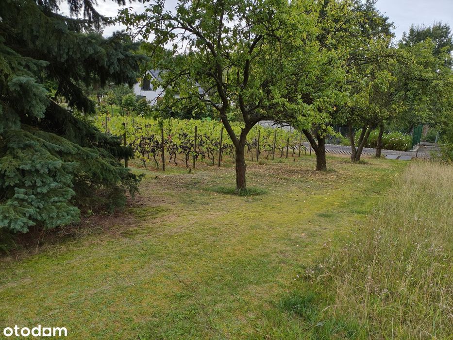 Działka budowlana 4000 m² w spokojnej okolicy