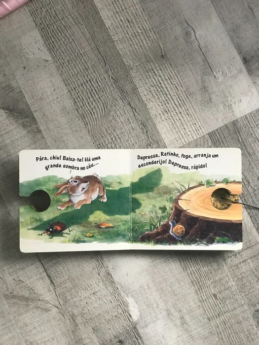 Livro Infantil Foge Ratinho Foge