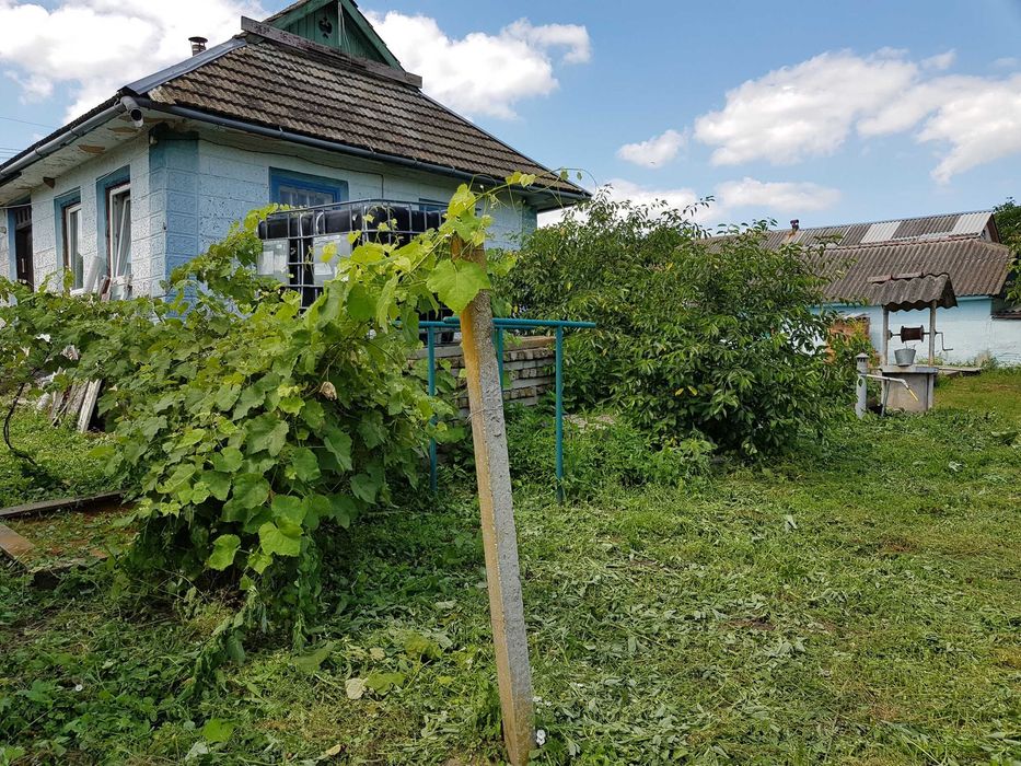 Будинок із земельною ділянкою в с. Олексіївка, Жмеринський район