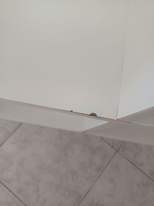 Móvel de cubos com portas