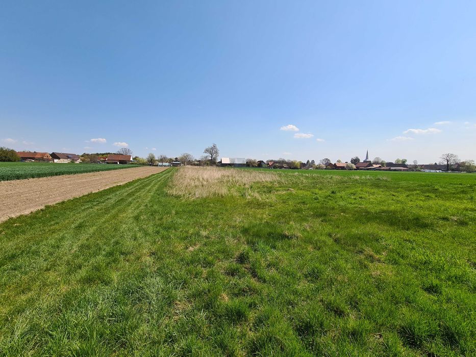 Udostępnie teren 28ar pod wynajem/dzierżawe. Uprawa,mini hodowla/parking,składowanie.