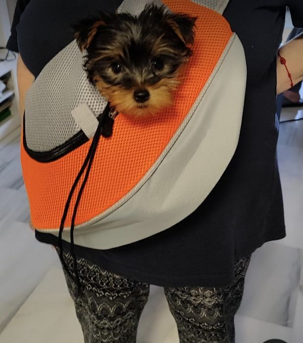 Bolsa mala para transporte de cães até 5 kg - NOVO