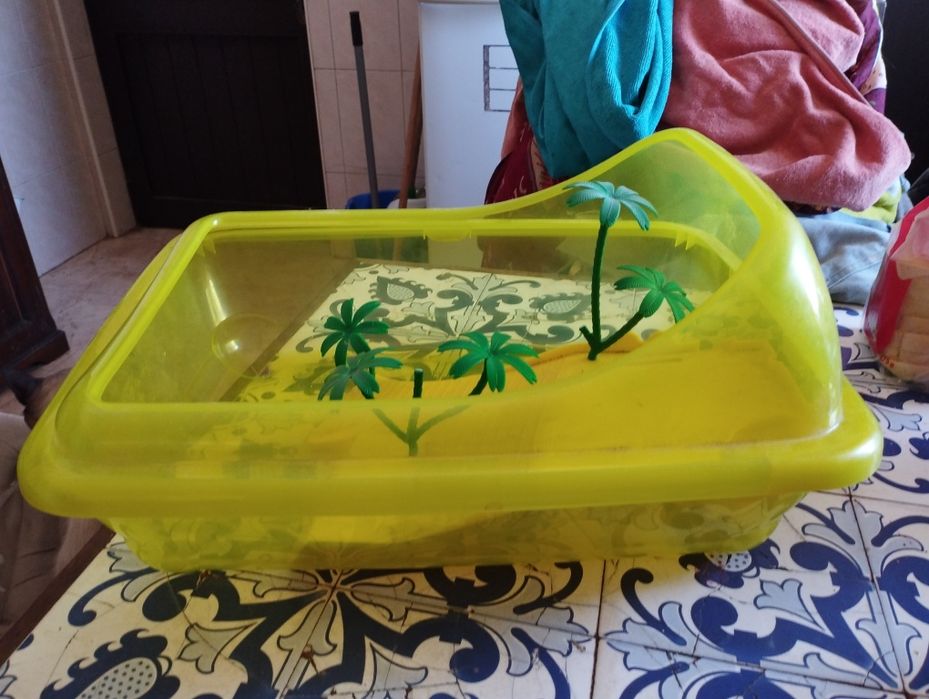 Aquário para tartaruga pequena