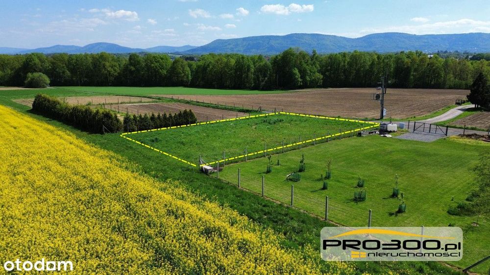 Działka z potencjałem – Pisarzowice | 966 m² - Widok 2