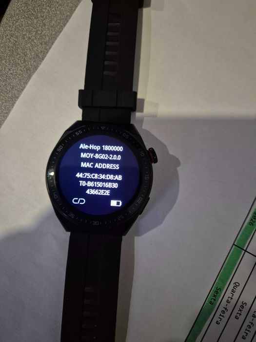 smartwatch ALE-HO, novo a estrear na caixa