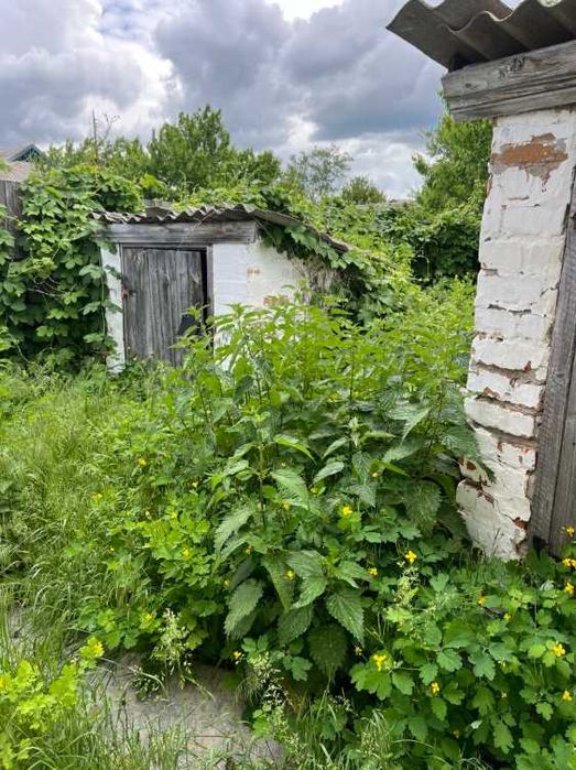 Пропоную до продажу будинок в с. Березняки.ЦІНУ ЗНИЖЕНО