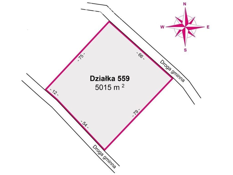 Działka rolno-rekreacyjna 50ar–Końskie, gm. Dydnia - View 4
