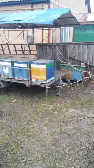 причіп для легкового авто