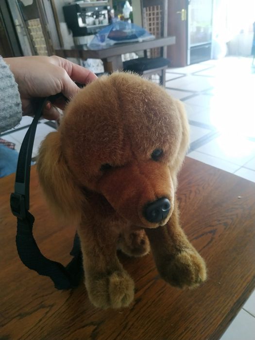 Сумка- песик дуже стильна