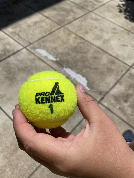 Bolas tenis prokennex
