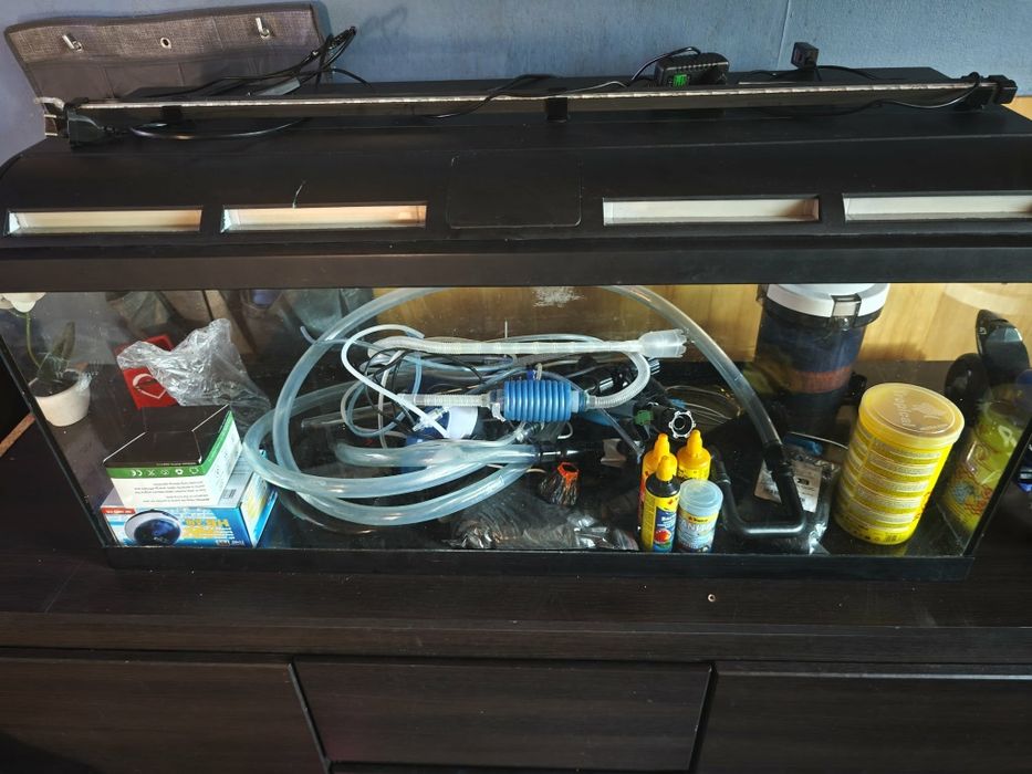 Akwarium z wyposażeniem